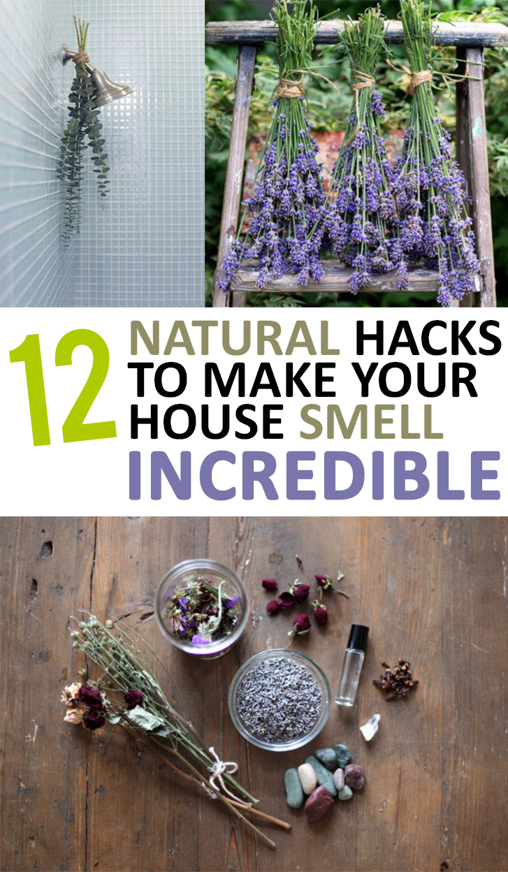 DIY, DIY home, home décor, popular pin home décor hacks, DIY home décor, DIY tutorials, home improvement, curb appeal, home DIY, home projects, DIY home tutorials