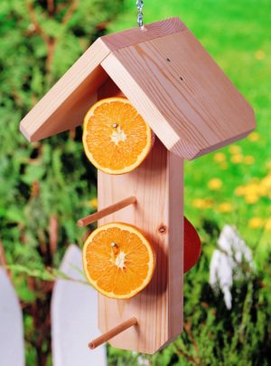 10 DIY Birdfeeder Tutorials for Spring| Bird Tutorials, Spring Bird Tutorials, Bird Tutorials for Spring, DIY Spring, Spring Decor, Outdoor Decor, DIY Outdoor Decor, Birdfeeder Tutorials, DIY Birdfeeder, Easy Birdfeeder Projects, Popular Pin #Birdfeeder #DIYBirdFeeder