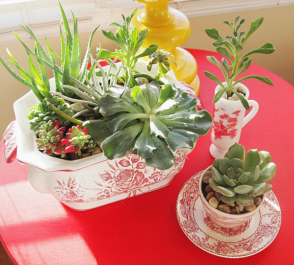 Unique Ways to Decorate With Potted Plants Through the Home| Potted Plants, Potted Plant Ideas, Potted Plants Patio, Potted Plants Outdoor, Home Decor, Home Decor DIY