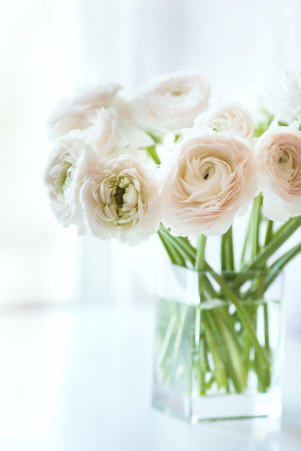 Little Decor Details