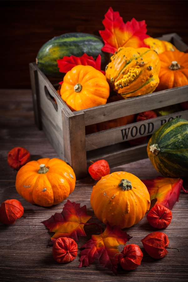 Fall Porch and Home Decor